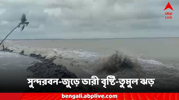 West Bengal Weather Updates Sundarbans News rain storm alert Weather Alert: সুন্দরবনজুড়ে ভারী বৃষ্টি-তুমুল ঝড়, ভয়াবহ ধস এলাকায় এলাকায়!