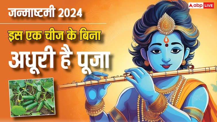 Janmashtami 2024 krishna worship incomplete without kheera or cucumber must include puja samagri Janmashtami 2024: इस एक चीज के बिना अधूरी है श्रीकृष्ण की पूजा, जन्माष्टमी पूजन सामग्री में जरूर करें शामिल