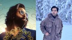 ‘स्त्री 2’ हिट होते ही 'एनिमल' के बचाव में उतरे राजकुमार राव