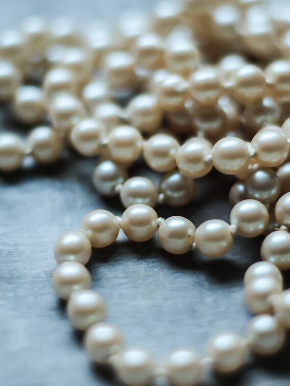 कैसे होती है मोती की खेती?