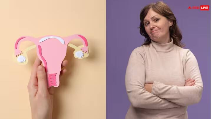 ત્વચા અને વાળમાં ફેરફાર: મેનોપોઝ પછી ત્વચા શુષ્ક અને પાતળી બની શકે છે અને વાળ ખરવા પણ સામાન્ય બની શકે છે.