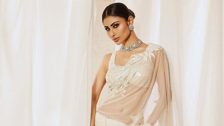 ১৯ বছর বয়সেই একতা কপূরের হিট ধারাবাহিক 'কিউঁকি সাস ভি কভি বহু থি'-তে কৃষ্ণা তুলসী ভিরানির চরিত্রে খ্যাতির স্বাদ পান মৌনী। বছরের পর বছর ইন্ডাস্ট্রিতে থেকে নিজেকে ঘষামাজা করে আজ তিনি মোহমুগ্ধ করার ক্ষমতা রাখেন অনুরাগীদের।