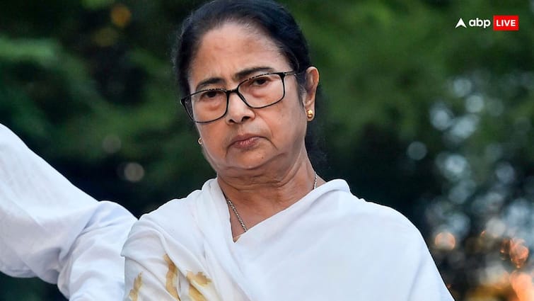 Kolkata Doctor Rape Murder Case WBCPCR advisor Ananya Chakraborty said Mamata Banerjee did not go and rape raises questions on CBI Investigation 'CM ममता ने तो जाकर रेप नहीं किया', कोलकाता कांड पर TMC का बचाव, CBI पर ही उठा दिए सवाल!