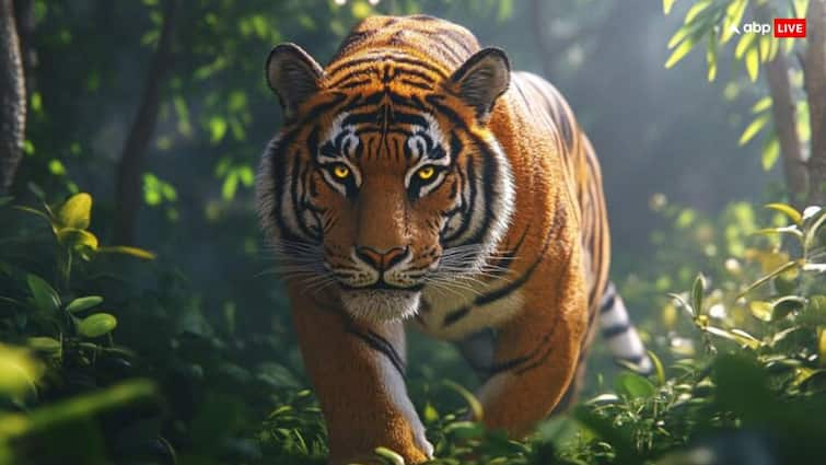 travel 8 famous parks of India where you see many tigers Best Tiger Parks: ये है भारत के 8 फेमस पार्क, जहां आप कर सकते हैं बाघों का दीदार