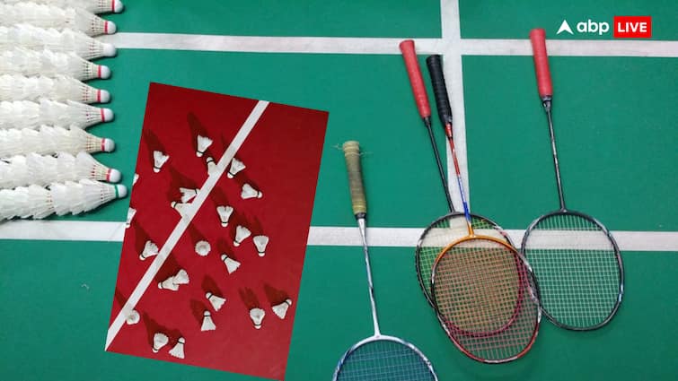 Shuttlecock is most important in badminton game do you know from which bird feather shuttlecock is made बैडमिंटन में शटलकॉक तो देखी होगी, कभी सोचा है इसमें किसके पंख होते हैं?