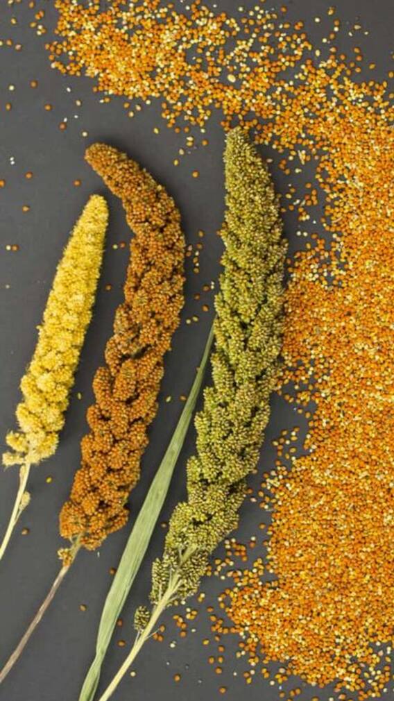 9 Tasty Snacks Made With Millets