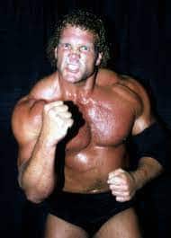 ਸਿਡ ਵਿਸ਼ਿਅਸ ਨੇ 1991 ਵਿੱਚ WWE ਵਿੱਚ ਸਿਡ ਜਸਟਿਸ ਨਾਮ ਨਾਲ ਡੈਬਿਊ ਕੀਤਾ ਸੀ। ਉਨ੍ਹਾਂ ਨੇ ਸਮਰਸਲੈਮ ਵਿੱਚ ਸਪੈਸ਼ਲ ਗੈਸਟ ਰੈਫਰੀ ਵਜੋਂ ਆਪਣੀ ਪਛਾਣ ਬਣਾਈ। ਇੱਥੇ ਉਨ੍ਹਾਂ ਦਾ ਸਾਹਮਣਾ WWE ਚੈਂਪੀਅਨ ਹਲਕ ਹੋਗਨ ਅਤੇ ਦ ਅਲਟੀਮੇਟ ਵਾਰੀਅਰ ਦਾ ਮੁਕਾਬਲਾ ਹੈਂਡੀਕੈਪ ਮੈਚ ਵਿੱਚ ਦ ਟ੍ਰਾਇੰਗਲ ਆਫ਼ ਟੈਰਰ ਦੇ ਵਿਰੁੱਧ ਹੋਇਆ। ਇਸ ਤੋਂ ਬਾਅਦ 1995 'ਚ ਉਨ੍ਹਾਂ ਨੇ ਸ਼ੌਨ ਮਾਈਕਲਸ ਨਾਲ ਜੋੜ ਲਿਆ।
