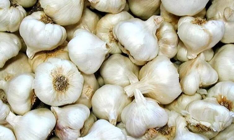 Garlic price  next 10 days  will be Rs 500 per kg  says traders - TNN அடுத்த 10 நாட்களில் பூண்டு விலை கிலோ ரூ.500க்கு விற்பனையா? - வியாபாரிகள் செல்வது என்ன?