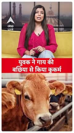 Young Man Caught Abusing Calf; Owner Files Police Report | ABP Live