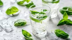 Tulsi Water: સવારે ખાલી પેટે તુલસીનું પાણી પીવાના છે જબરદસ્ત ફાયદા, દૂર રહેશે અનેક બીમારીઓ