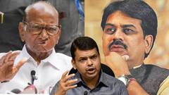 हर्षवर्धन पाटील आणि शरद पवारांच्यात बैठक, काय झाली चर्चा? पाटील म्हणाले, 'देवेंद्र फडणवीस यांच्याशी...'