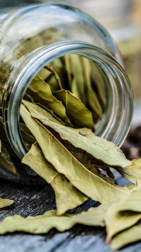 బిర్యానీ ఆకులు కిడ్నీలో రాళ్లను కరిగిస్తాయా?