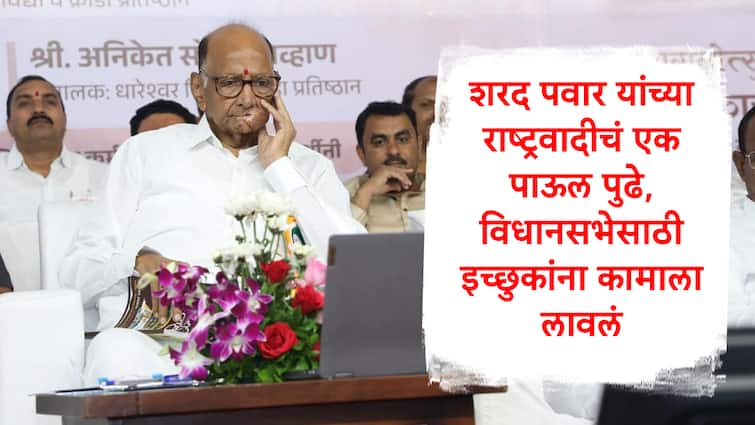 Sharad Pawar lead NCPSP Call Application from aspirants leaders for up coming Maharashtra Assembly Election Marathi News NCP SP : शरद पवारांच्या राष्ट्रवादीचं एक पाऊल पुढे, विधानसभेसाठी इच्छुकांना लावलं कामाला, 8 दिवसात करावं लागणार महत्त्वाचं काम 