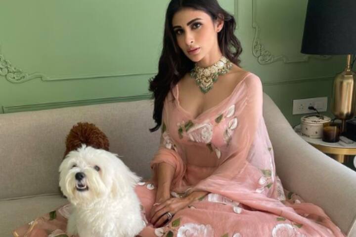 मौनी रॉय अपने हर लुक में काफी खूबसूरत लगती है, लेकिन उनके ये ट्रेडिशनल आउटफिट्स फैंस को काफी पसंद आते हैं.