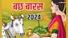 Bachh Baras 2024: बछ बारस व्रत क्यों किया जाता है ? अगस्त में कब है ये, जानें डेट, मुहूर्त, महत्व