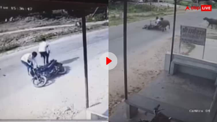 Accident road is viral on social media where accidents are happening again and again watch viral video जगह एक हादसे अनेक, इस सड़क से गुजरने से पहले जरूर देख लें ये वीडियो- रोज होते हैं एक्सीडेंट