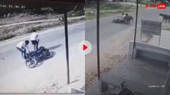 जगह एक हादसे अनेक, इस सड़क से गुजरने से पहले जरूर देख लें ये वीडियो- रोज होते हैं एक्सीडेंट