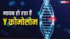 खतरे में है लड़कों का भविष्य! Y क्रोमोसोम को लेकर रिसर्च में हुआ चौंकाने वाला खुलासा