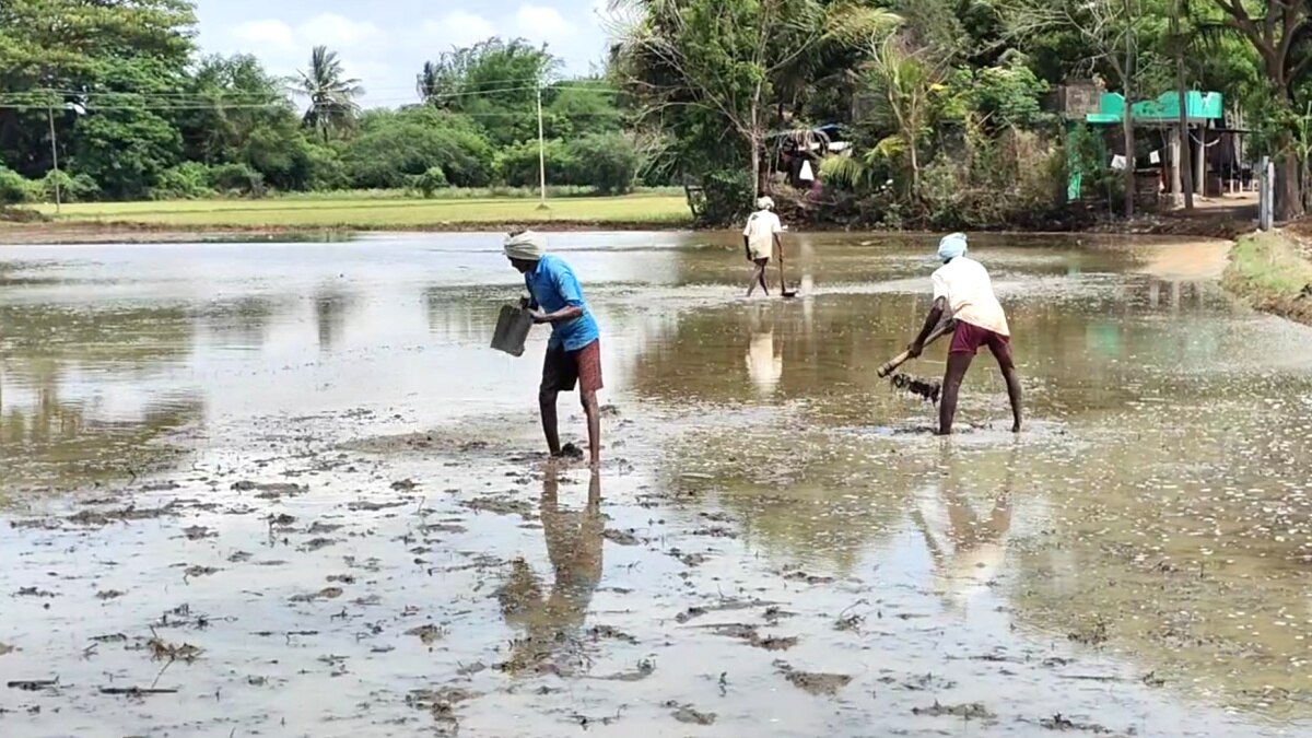 பாசன வாய்க்கால்கள் நடுவில் நடப்பட்டுள்ள மின்கம்பம் - விவசாயிகள் அதிர்ச்சி