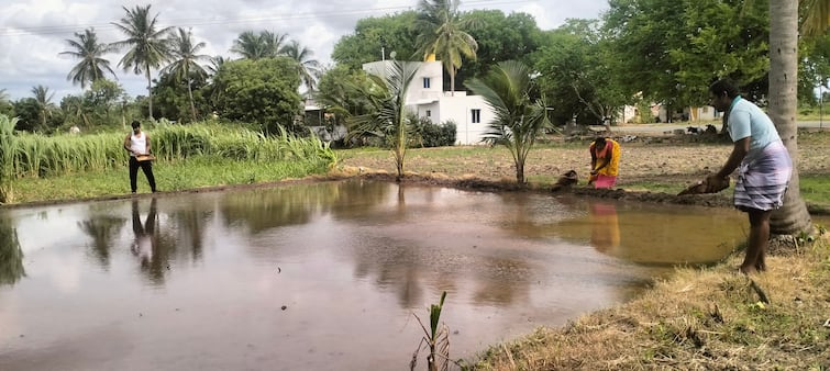 ḷ tayār nilaiyil 400 hectares of organic farming with bio-fertilizers ready for healthy food விவசாயிகளுக்கு நற்செய்தி: 400 ஹெக்டர் பரப்பில் இயற்கை விவசாயம் - அசத்தும் வேளாண்மை துறை