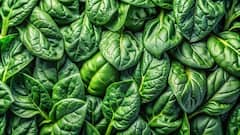 Spinach: পালং শাকের উপকারিতা জানেন? মেটে কী কী সমস্যা