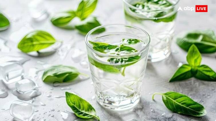 Drink basil water on an empty stomach early in the morning, the benefits will surprise you.