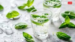 Tulsi Water: सुबह-सुबह खाली पेट तुलसी का पानी पीने के 7 जबरदस्त फायदे, दूर होगी कई बीमारियां