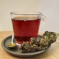 Hemp Tea: ਭੰਗ ਦੀ ਚਾਹ 'ਤੇ ਵਿਗਿਆਨੀ ਨੇ ਕੱਢ ਲਿਆਂਦੇ ਵੱਡੇ ਤੱਥ, ਇਹਨਾਂ ਬਿਮਾਰੀਆਂ ਨੂੰ ਕਰਦੀ ਹੈ ਦੂਰ