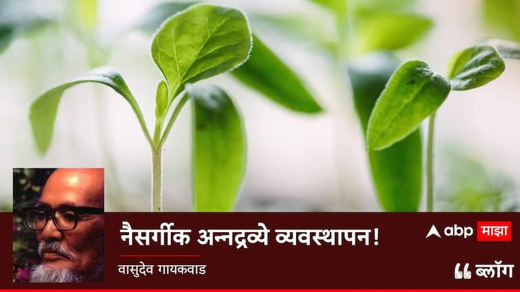 Vasudev Gaikwad Blog on Natural Nutrient Management BLOG : नैसर्गिक अन्नद्रव्ये व्यवस्थापन