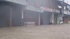 Rain: રાજ્યના આ જિલ્લાઓમાં મેઘરાજાનો કહેર, ટ્રક-કાર તણાઇ, સોસાયટીઓ પાણીમાં ગરકાવ