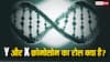 Y और X क्रोमोसोम का बच्चा पैदा होने में क्या होता है रोल? जानें बिना इनके क्या होगा
