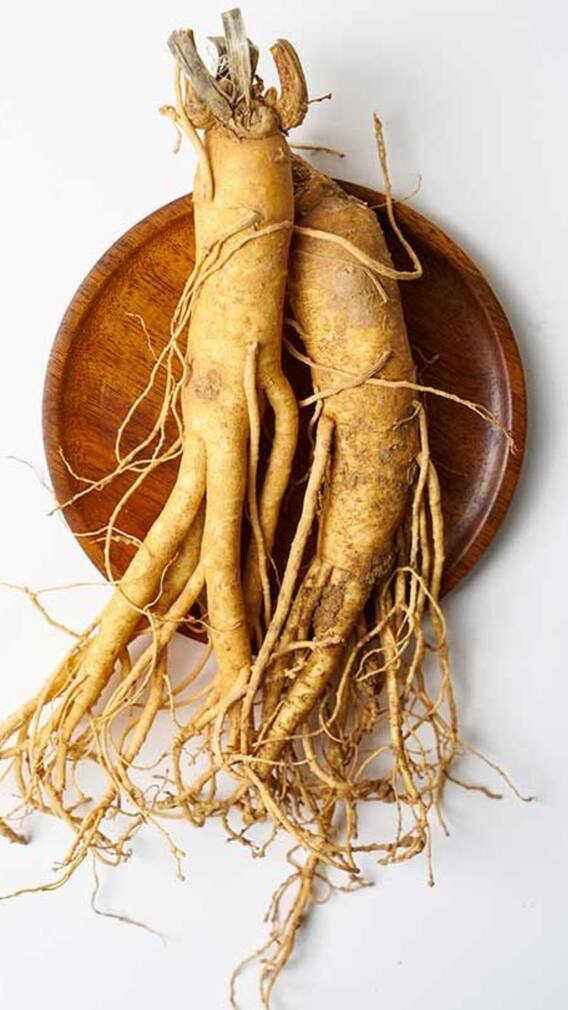 9 Health Benefits Of Ginseng