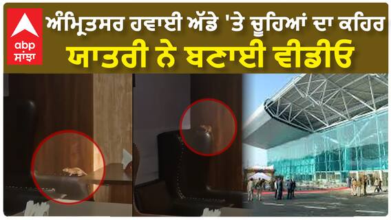 Amritsar Airport 'ਤੇ ਚੂਹੇ ਦੀ ਚਹਿਲਕਦਮੀ ਯਾਤਰੀ ਨੇ ਬਣਾਈ ਵੀਡੀਓ | Rat at international Amritsar airport