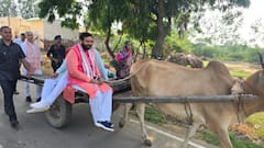 'सरकार भी चलाणी जाणै सैं अर बलद बग्गी', बैलगाड़ी पर सवार हुए CM सैनी, शेयर किया वीडियो