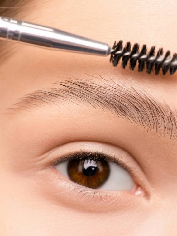 हमारी आंख की आईब्रो में करीब कितने बाल होते हैं