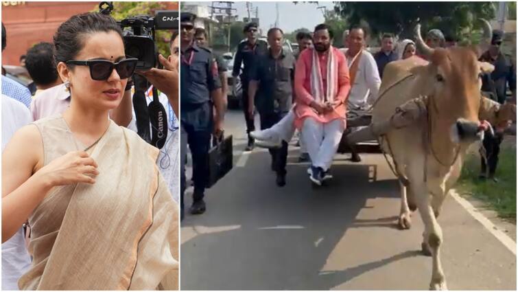 haryana-assembly-elections-cm-nayab-singh-saini-bullock-cart-ride-kangana-ranaut-anti-farmer-comments-video Hit By Kangana's 'Anti-Farmer' Comments, Haryana CM Rides Bullock Cart To Control Damage: WATCH