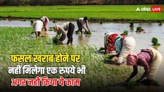 फसल बर्बाद होने के बाद नहीं मिलेगा एक भी रुपये का मुआवजा, जरूर कर लें ये काम