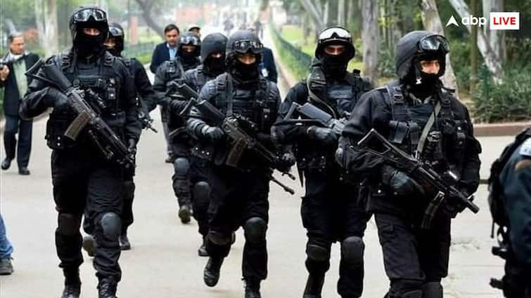 NSG commandos called Black Cat Commandos know facts and details क्या NSG कमांडोज को ही कहा जाता है ब्लैक कैट कमांडो? जान लीजिए जवाब