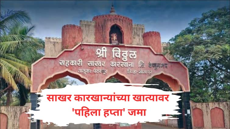 Sugar Factory Margin Money Loan 5 co operative factories got 487 crore from ncdc maharashtra politics assembly election  Sugar Factory : निवडणुकीच्या आधी अभिजीत पाटलांसह 5 सहकारी साखर कारखान्यांना 'पहिला हप्ता', NCDC कडून 487 कोटी रक्कम जमा