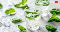 Tulsi Water: ਸਵੇਰੇ ਖਾਲੀ ਪੇਟ ਤੁਲਸੀ ਦਾ ਪਾਣੀ ਪੀਣ ਨਾਲ ਹੁੰਦੇ ਜ਼ਬਰਦਸਤ ਫਾਇਦੇ, ਕਈ ਬਿਮਾਰੀਆਂ ਹੋਣਗੀਆਂ ਦੂਰ