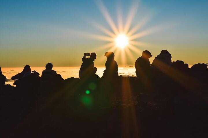 जर्नल ऑफ़ ट्रैवल मेडिसिन में 2022 में प्रकाशित एक अध्ययन में पिछले 13 सालों में सेल्फी से जुड़ी 379 मौतों का खुलासा हुआ है.