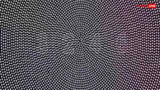 तस्वीर में छिपी है चार अंकों की रहस्यमयी संख्या, खोजने के लिए चाहिए चील सी नजर, समय 15 सेकंड