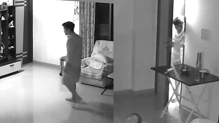 Thief Breaks Into Marathi Directors Apartment Pet Cat Alerts Family Viral Video: డైరెక్టర్ ఇంట్లోకి చొరబడిన దొంగ, పెంపుడు పిల్లి అరుపులతో అంతా అలెర్ట్ - వీడియో