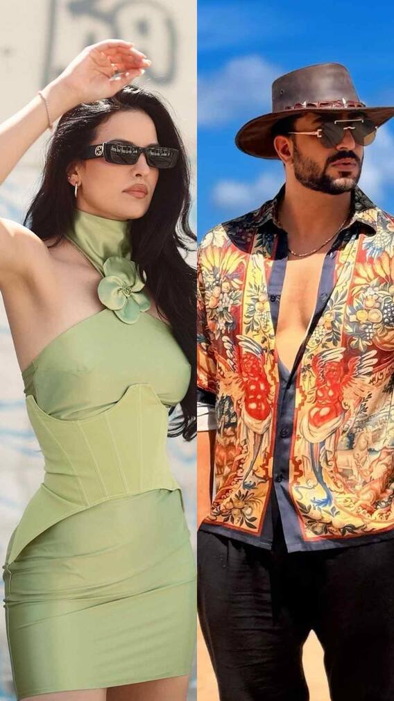 अली गोनी ने नताशा स्टेनकोविक संग ब्रेकअप पर तोड़ी चुप्पी