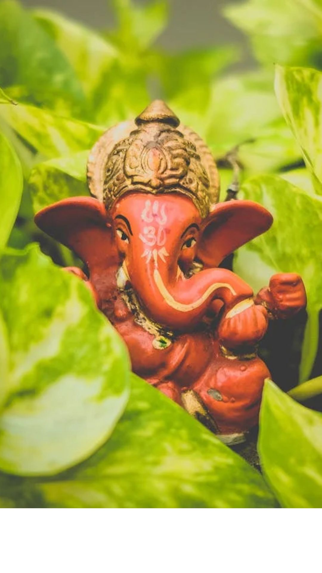 முழு முதற்கடவுளாக போற்றப்படும் விநாயகர் அவதரித்த நாளே விநாயகர் சதுர்த்தியாக கொண்டாடப்படடு வருகிறது
