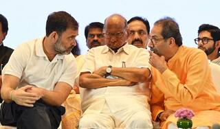 राहुल गांधी शरद पवारांसह महाविकास आघाडीचे प्रमुख नेते 5 सप्टेंबरला सांगलीत, पतंगराव कदम यांच्या पुतळ्याचं अनावरण होणार