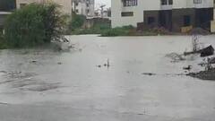 Rain: રાજ્યના આ જિલ્લાઓમાં મેઘરાજાનો કહેર, ટ્રક-કાર તણાઇ, સોસાયટીઓ પાણીમાં ગરકાવ