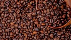 Coffee for Good Skin: দাগ-ছোপ থেকে মুক্তি, পারফিউম লাগবেই না আর, জেল্লা বাড়বে চুলেরও, এক কফির অনেক গুণ