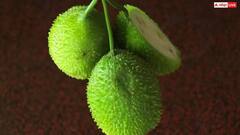 Health Tips: આ છે દુનિયાની સૌથી શક્તિશાળી શાકભાજી, નામ સાંભળીને તમને વિશ્વાસ નહીં થાય