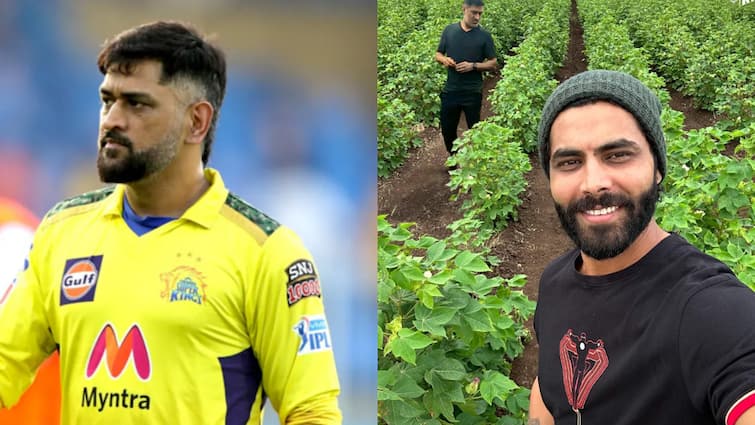 ipl franchise csk ms dhoni and ravindra jadeja shared edited photo roaming in farm social media goes viral chennai super kings MS Dhoni: खेतों में घूमते दिखे धोनी-जडेजा! CSK ने सोशल मीडिया पर किया पोस्ट; तो लोगों ने लूटे खूब मजे